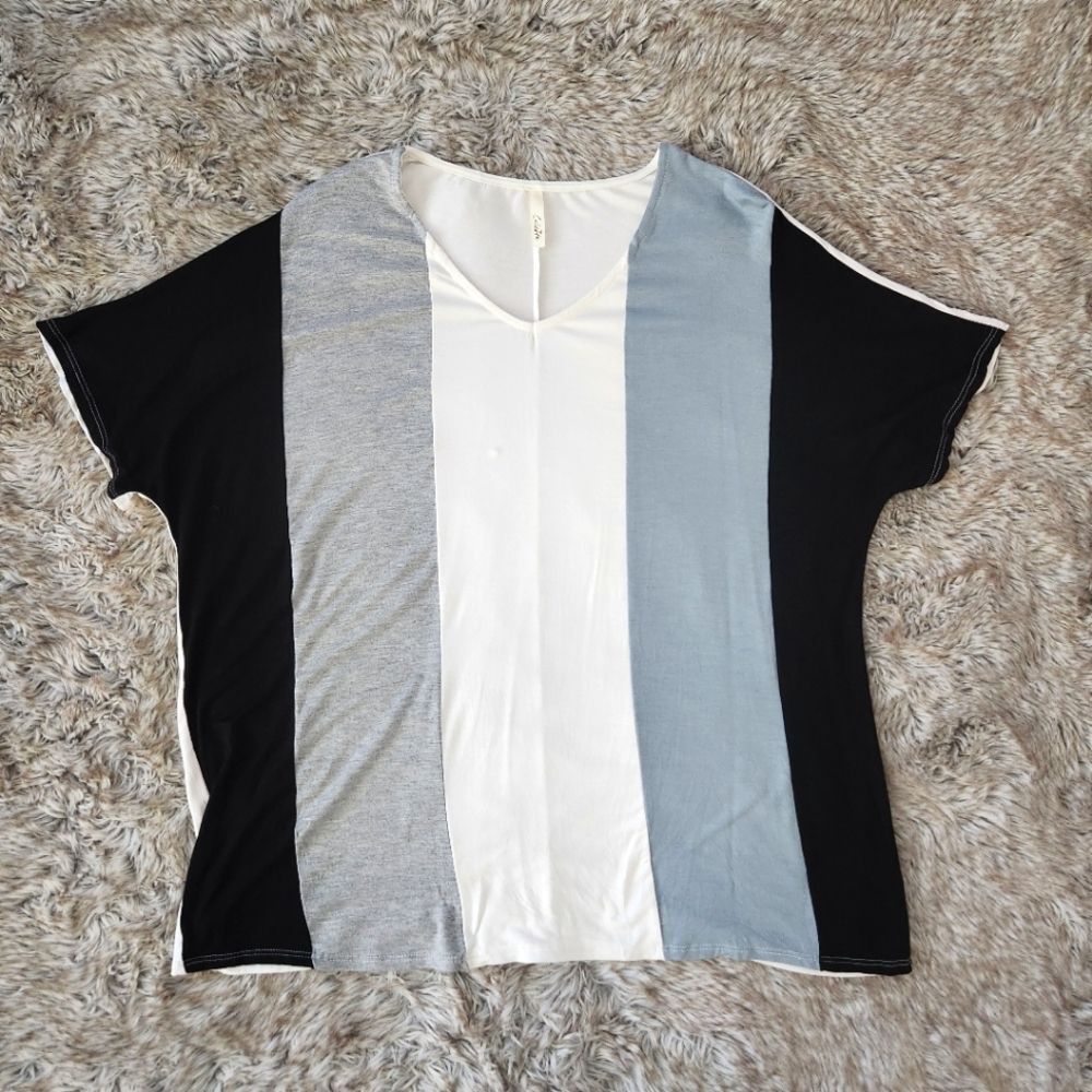 Celeste Vertical‎ Colorblocked V-Neck Short Sleeve T-shirt Blue and Gray Medium